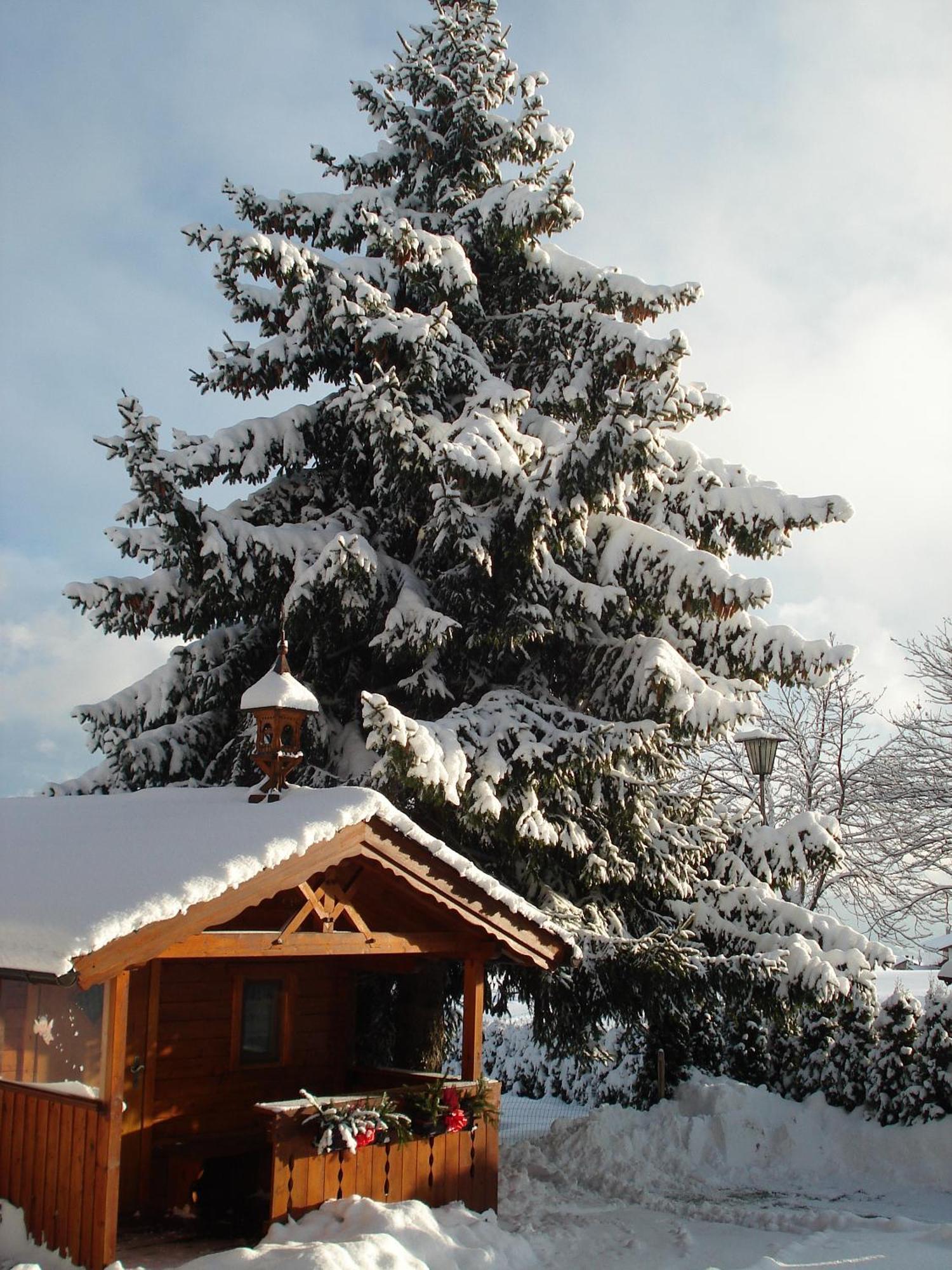 Haeuslerhof Farm stay