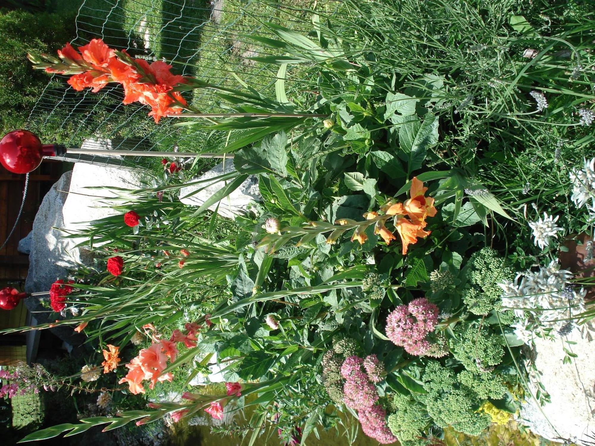 Farm stay Haeuslerhof *